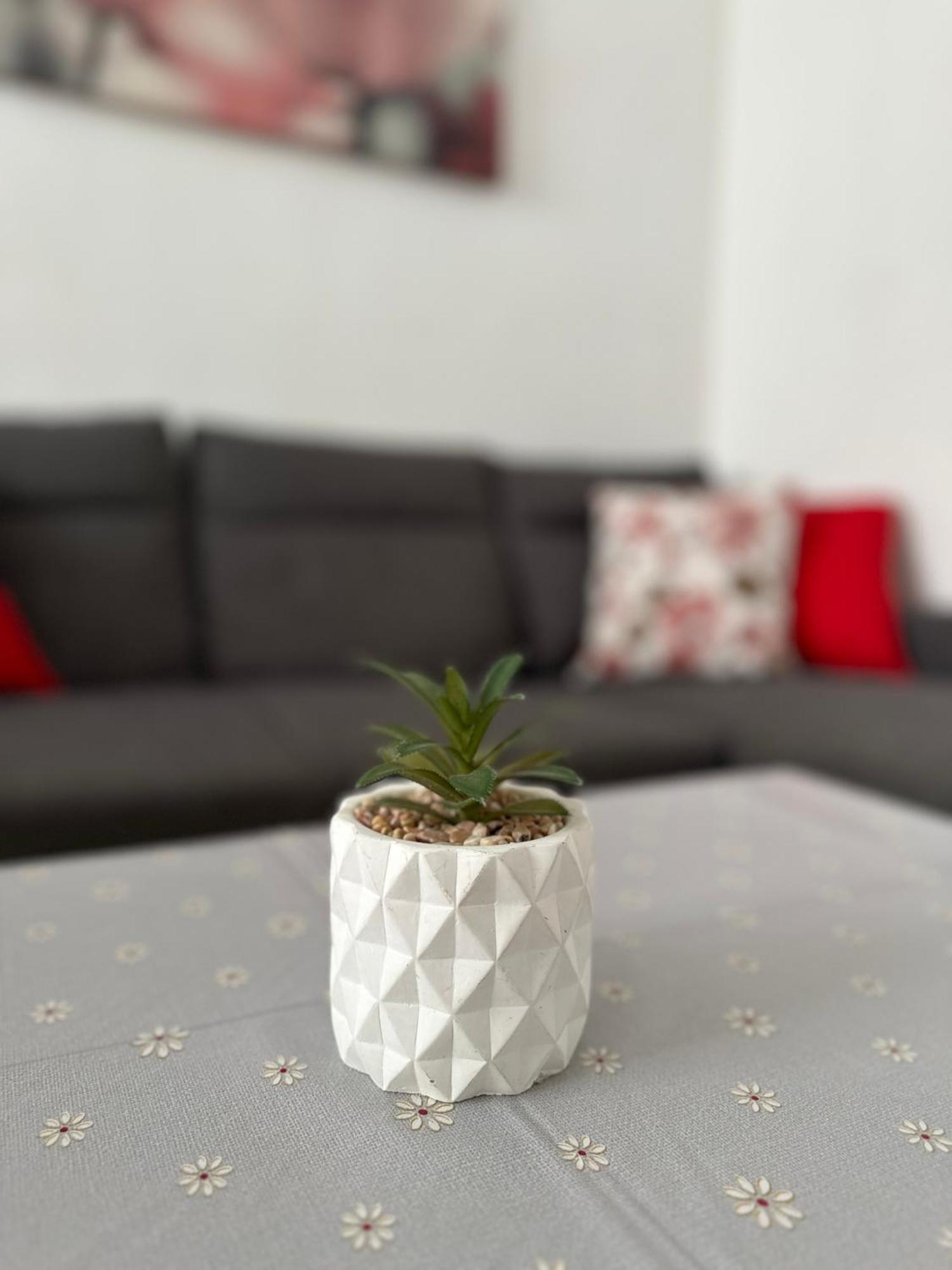 Modern And Bright 5 Bedroom Apartment Del Prado Гандія Екстер'єр фото